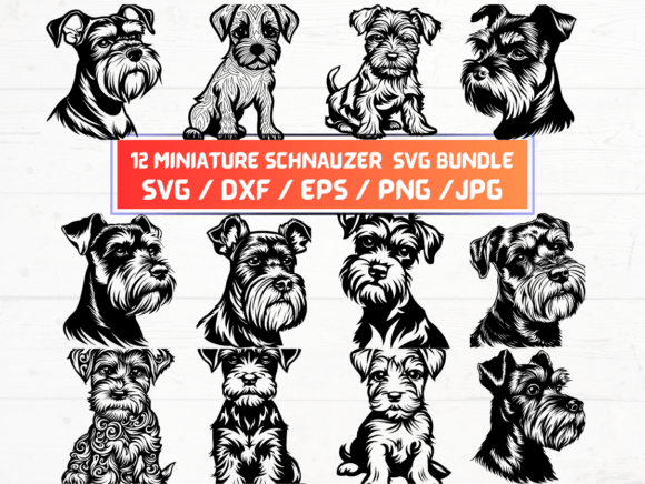 12 Miniature Schnauzer Svg, DXF, EPS Graphics and Crafts Review