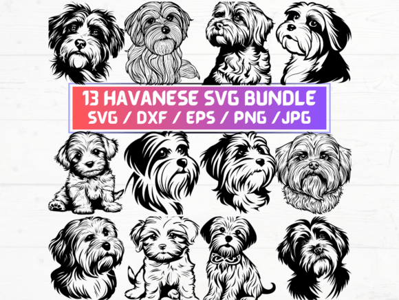 13 Havanese Dog Svg Graphics and Crafts