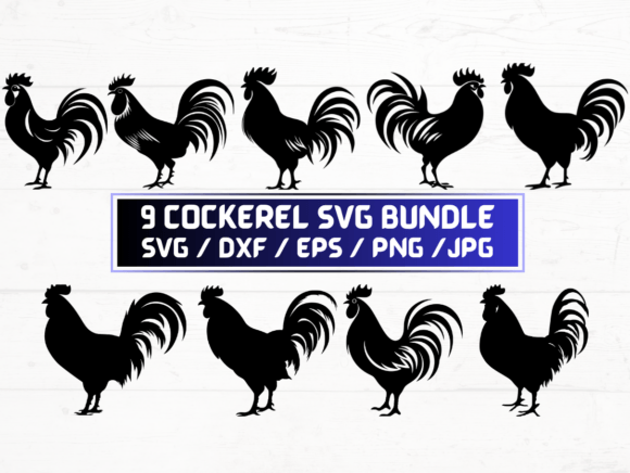 9 Cockerel SVG File: A Designer’s Review for Embroidery Projects