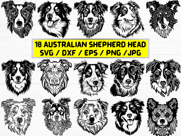 Australian Shepherd Head SVG for Graphics and Crafts