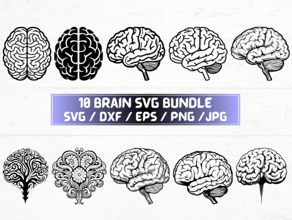 Brain SVG, DXF, EPS, JPG, PNG: A Brand Designer’s Review
