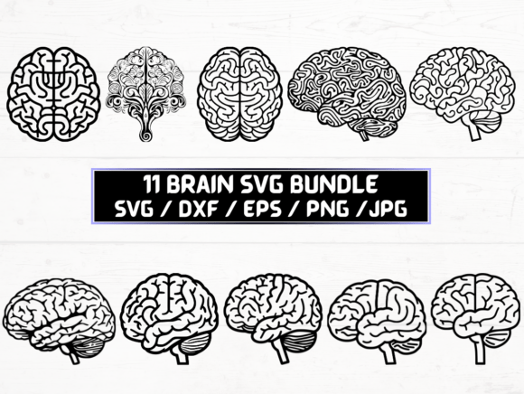 Brain SVG Graphics for Crafts and Marketing