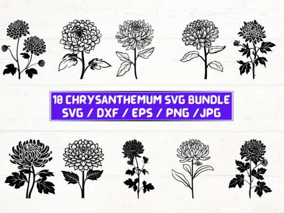 Chrysanthemum Flower SVG Bundle: A Practical Review for Graphics and Crafts Sellers