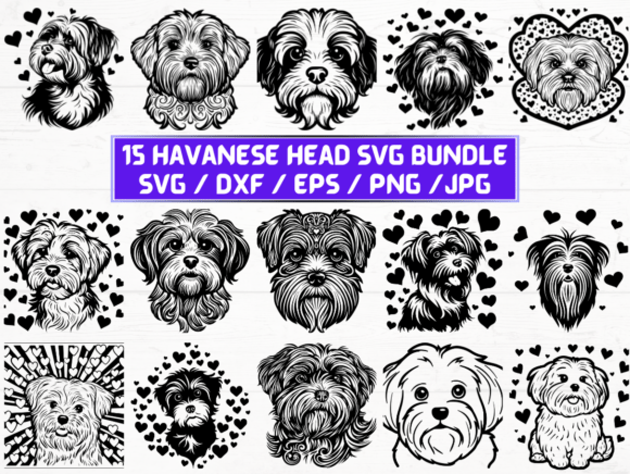 Havanese Head SVG Bundle: A Practical Graphics Review for Crafts