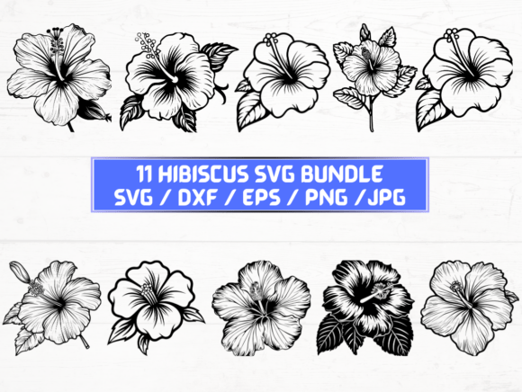 Hibiscus Flower SVG File: Graphics and Crafts Review