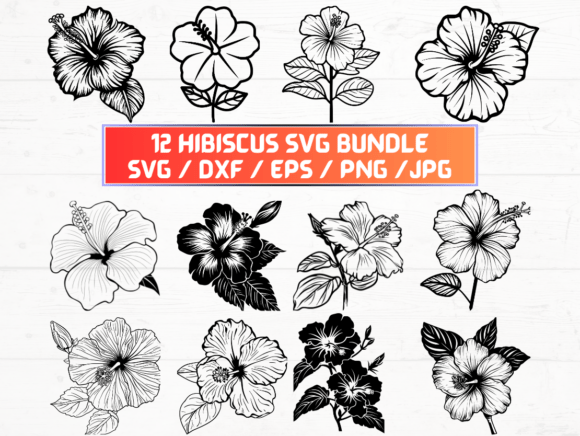 Hibiscus SVG, DXF, EPS, JPG, PNG Graphics and Crafts