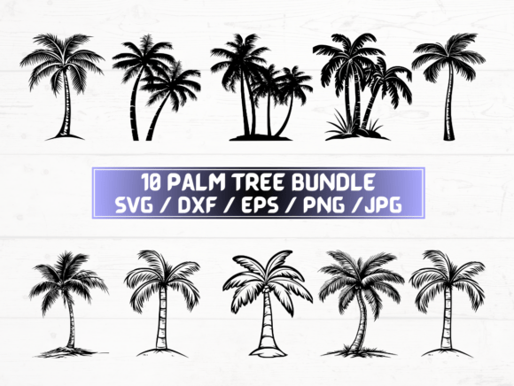Palm Tree SVG, DXF, EPS, JPG, PNG Graphics for Crafts