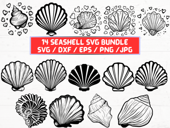 Seashell SVG Bundle: A Publisher’s Review of Modern Graphics for Crafts