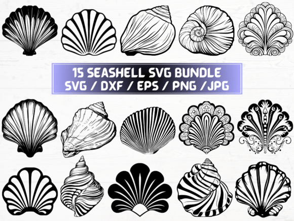Seashell SVG, DXF, EPS, JPG, PNG Graphics and Crafts