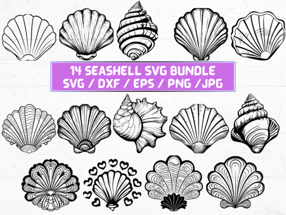 Seashell SVG File Review