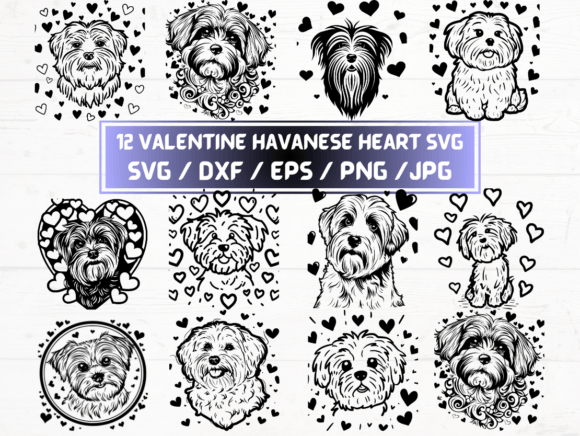 Valentine Havanese Heart SVG, DXF, EPS Graphics and Crafts
